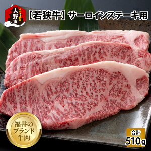 yӂ邳Ɣ[Łzỹuhzዷ T[CXe[Lp 510g(170g×3)[C-054002]y4ȏz| Y  T[CXe[L јa ŏ㋉ 4ȏ  