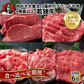 【ふるさと納税】【肉の定期便×6回コース】 肉好き大集合！若狭牛食べ比べ定期便！[K-054002] |「焼き肉・すき焼き・しゃぶしゃぶ・ステーキ」国産 牛肉 モモ ロース 肩 バラ サーロイン 4等級以上 サシ とろける 甘み お取り寄せ 最高級 パック 小分け コンシェルジュ
