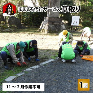 yӂ邳Ɣ[Łz܂sT[rXwx11`2ƕs[A-044002]