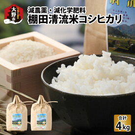 【ふるさと納税】名水の里 越前大野の棚田清流米コシヒカリ 2kg×2袋 減農薬 減化学肥料[A-011013] |こしひかり 農薬いらず 合計4kg 国産 送料無料