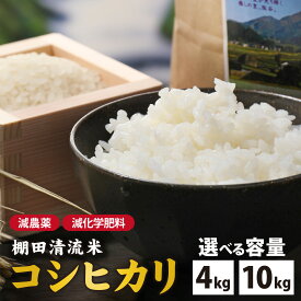 【ふるさと納税】【選べる内容量】【令和7年産】名水の里 越前大野の棚田清流米コシヒカリ 減農薬 減化学肥料 | こしひかり 農薬いらず 4kg 10kg 国産 送料無料
