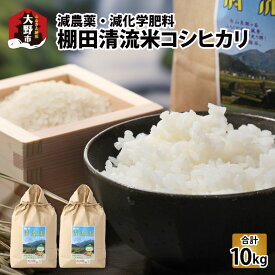 【ふるさと納税】【令和7年産 新米】名水の里越前大野の棚田清流米コシヒカリ5kg×2袋 減農薬 減化学肥料[B-011002]|こしひかり 農薬いらず 合計10kg 国産 送料無料