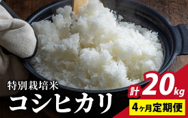 【ふるさと納税】【令和7年産 新米】【4ヶ月連続お届け】福井県認証の特別栽培米 コシヒカリ 5kg×4回　(計20kg)【定期便・米・精米／コシヒカリ・こしひかり・定期便】 [D-011001]