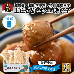 yӂ邳Ɣ[Łzys\z㏯Ƃ 􂢎q 2kgi500g × 4܁jy①z_Ew엿̓ʍ͔| _ƒ ϕɕ֗ȏ߃TCYy10{菇z[A-004009]|˂