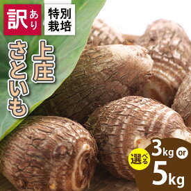 【ふるさと納税】【先行予約】【楽天限定】【訳あり】【選べる容量】上庄さといも 3kg 5kg 規格外 不揃い 減農薬・減化学肥料の特別栽培 農家直送[A-004008] | 楽天限定 訳あり 里芋 さといも 特別栽培 減農薬 SDGs 数量限定 期間限定 大野市 送料無料