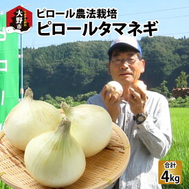 【ふるさと納税】【令和8年産】【ピロールタマネギ】ピロール農法で栽培したタマネギ4kg | 弱アルカリ性 ミネラル ビタミン 送料無料 [A-071004]