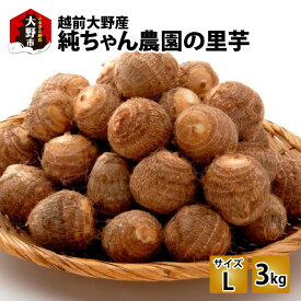 【ふるさと納税】【先行予約】越前大野産 「純ちゃん農園の里芋 3kg」サイズL寸 [A-074002] | 和食 根菜 煮物 送料無料