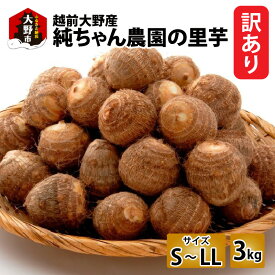 【ふるさと納税】【先行予約】【訳あり】越前大野産 「純ちゃん農園の里芋3kg」サイズS～LL寸【10月下旬より順次発送】[A-074005]|和食 根菜 煮物 送料無料