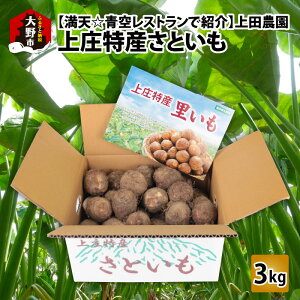 yӂ邳Ɣ[ŁzyV󃌃XgłЉzyNoׁzc_ ㏯YƂ 3kg[A-080001]|aH  ϕ 