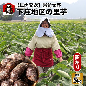 yӂ邳Ɣ[Łzys\zyNzy󂠂zzO쉺n̗ 5kg I M`LLTCY [A-095001]