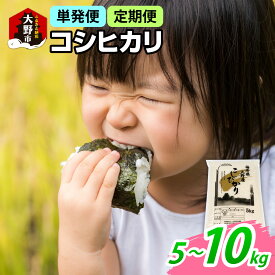 【ふるさと納税】【先行予約】【令和7年産 新米】福井県大野産コシヒカリ（白米） 5kg／10kg　選べる配送回数【単発便、定期便（3ヶ月・6ヶ月・12ヶ月）】[A-094001] お米 こしひかり 白米 精米 おこめ ご飯 ごはん お取り寄せ 艶 甘味 旨み 大野市産 福井県産 ブランド米