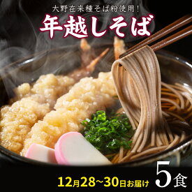 【ふるさと納税】【先行予約】【年越しそば】大野在来種そば粉使用！手打ちそば5食　出汁付き 【日付け指定不可：12月28日～30日お届け】 | そば 生蕎麦 蕎麦