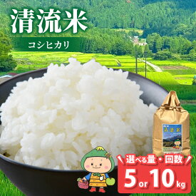 【ふるさと納税】【令和7年産 新米】【福井県大野市】さかだに棚田清流米！(コシヒカリ)（白米） 選べる内容量【5kg／10kg】，選べる配送回数【単発便、定期便（3ヶ月・6ヶ月）】「今話題の、あのバンドのロケ地！」#🍏 | コシヒカリ 棚田