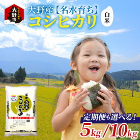 【ふるさと納税】【令和7年産 新米】大野産コシヒカリ（白米）【大野ブランド米 名水育ち】|5kg 10kg お米 こしひかり コシヒカリ 白米 精米 おこめ ご飯 ごはん つや 艶 甘味 旨み 大野市産 福井県産 ブランド米 送料無料[A-097002]