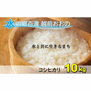 yӂ邳Ɣ[Łzys\zyߘa7NY VāzЂi䌧sYjGRt@[}[āiāj10kgi5kg×2܁jyāERVqJz[A-003007]