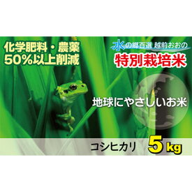 【ふるさと納税】【令和5年産】こしひかり（福井県大野市産）福井県特別栽培米 5kg【白米】【お米・コシヒカリ】[A-003005]