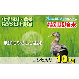 【ふるさと納税】【令和5年産】こしひかり 10kg【白米】減農薬・減化学肥料 「特別栽培米」−地球にやさしいお米−　【お米・コシヒカリ】[A-003008]