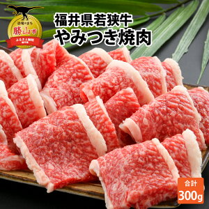 yӂ邳Ɣ[Łz䌧Yዷ݂ē(300g) |  Y јa a Opo v  Ⓚ ~ 300O