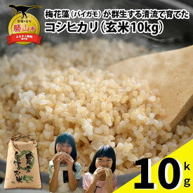 【ふるさと納税】【先行予約】令和8年産 梅花藻が群生する清流で育てたコシヒカリ（玄米 10kg×1袋）※2026年9月下旬以降順次発送予定| 新米 国産 福井県産 米 お米 おこめ ブランド米 ごはん ご飯 お取り寄せ 直送 10kg 10キロ 1袋 袋包装 人気 品種 おいしい 送料無料