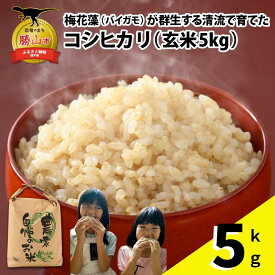 【ふるさと納税】【先行予約】令和8年産 梅花藻が群生する清流で育てたコシヒカリ（玄米 5kg×1袋）※2026年9月下旬以降順次発送予定 | 新米 国産 福井県産 米 お米 おこめ ブランド米 ごはん ご飯 お取り寄せ 直送 5kg 5キロ 1袋 袋包装 人気 品種 おいしい 送料無料