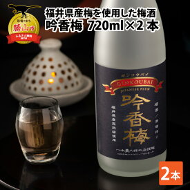 【ふるさと納税】福井県産梅を使用した梅酒　吟香梅(720ml×2本) | 日本酒 福井梅