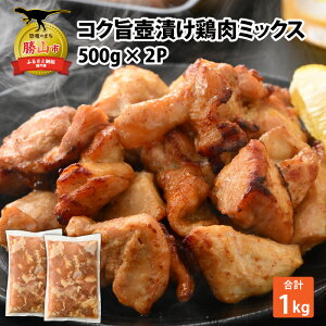yӂ邳Ɣ[ŁzRN|Ђ{~bNX 500g×2P |  { t  ނ˓ ɂɂ jjN I VEK Z [ 500O×2 Ⓚ