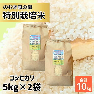 yӂ邳Ɣ[Łz yߘa7NY Vāzyʌẑނ̋RVqJʍ͔|  5kg×2 v10kg /    uh Y k 䌧Y Rs