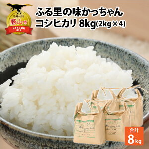 yӂ邳Ɣ[Łzߘa7NY RVqJ8kgi2kg×4܁j|   R Ђ 2L×4 v8L