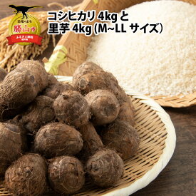 【ふるさと納税】令和7月年産 コシヒカリ 4kgと里芋 4kg(M〜LLサイズ)