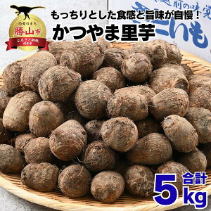 yӂ邳Ɣ[Łzys\zߘa7NY   5kg |    aH ϕ ł y Ƃ e VN  H׍ n {   Zbg Mtg TCY Y 