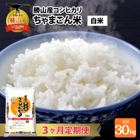 【ふるさと納税】【令和7年産 新米】【定期便3ヶ月連続】勝山のお米 コシヒカリ 精米 10kg（計 30kg） / お米 白米 ご飯 ブランド米 国産 北陸 福井県産 勝山市