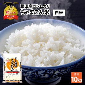 【ふるさと納税】【令和7年産 】勝山産 コシヒカリ ちゃまごん米 精米 10kg / お米 白米 ご飯 ブランド米 国産 北陸 福井県産 勝山市