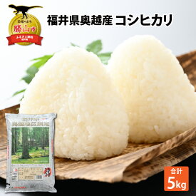 【ふるさと納税】令和7年産 福井県産奥越コシヒカリ5kg ×1袋 / こしひかり お米 米 こめ ブランド米 精米 白米 国産 福井県産 勝山市