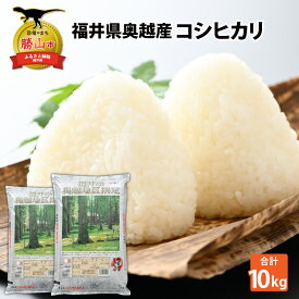 【ふるさと納税】令和7年産 福井県産奥越コシヒカリ5kg ×2袋（計 10kg） / こしひかり お米 米 こめ ブランド米 精米 白米 国産 福井県産 勝山市