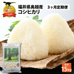yӂ邳Ɣ[Łzy3Aցzߘa7NY 䌧YzRVqJ5kg ×1܁i5kg × 3j / Ђ     uh   Y 䌧Y Rs
