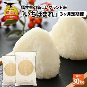 yӂ邳Ɣ[Łzy3Aցzߘa7NY 䌧̐Vuh ق܂5kg ×2܁i10kg × 3j / ق܂     uh   Y 䌧Y Rs