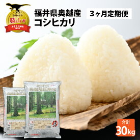 【ふるさと納税】【3ヶ月連続定期便】令和7年産 福井県産奥越コシヒカリ5kg ×2袋（10kg × 3ヶ月） / こしひかり 定期便 お米 米 こめ ブランド米 精米 白米 国産 福井県産 勝山市