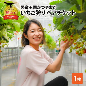 yӂ邳Ɣ[Łz܂ł yA`Pbg /  C`S ̌ AEghA C`S E C`SE ̌ 30ԐHו ׂ 䌧 Rs