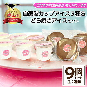 yӂ邳Ɣ[ŁzƐJbvACX3{ǂĂACXZbg | َq  fU[g XC[c XEB[c mَq Ɛ Ⓚ   ׂ