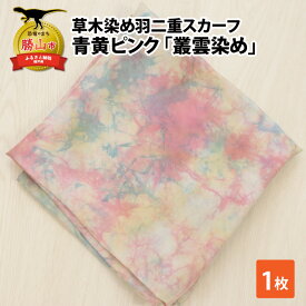 【ふるさと納税】草木染め羽二重スカーフ 青黄ピンク 叢雲染め| 染物 織物 伝統 ファッション 小物