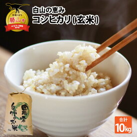 【ふるさと納税】【先行予約】白山の恵み 令和7年度産 新米 コシヒカリ（玄米）10kg / 新米 ブランド米 米 ごはん コシヒカリ 10kg 1袋 国産 おすすめ 人気 福井県 勝山市 ※2025年10月上旬より順次発送