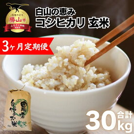 【ふるさと納税】【先行予約】《定期便3回》家事をもっと楽に！ 令和7年産 新米 コシヒカリ定期便（玄米）10kg×3回（計30kg） / 新米 ブランド米 米 ごはん コシヒカリ 10kg 1袋 国産 おすすめ 人気 福井県 勝山市 ※2025年10月上旬より順次発送