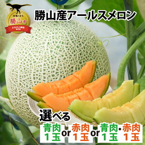 �y�ӂ邳�Ɣ[�Łz�y��s�\��z�y��ނ��I�ׂ�z���R�Y�A�[���X������ �i�ԓ��^���^�ԓ��E���Z�b�g�j / �}�X�N������ �t���[�c �ԓ� �� ������ 1.5kg 1.5�L�� �t���[�c �L�@�엿 �_�ƒ�