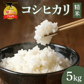 【ふるさと納税】【令和7年産 新米】【勝山市産】田中さんちのコシヒカリ 精米 5kg / お米 米 ご飯 ブランド米 こしひかり 白米 精米 国産 北陸 福井県産 勝山市