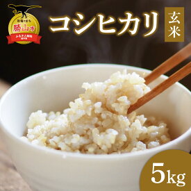 【ふるさと納税】【令和7年産 新米】【勝山市産】田中さんちのコシヒカリ 玄米 5kg / お米 米 ご飯 ブランド米 こしひかり 玄米 白米 国産 北陸 福井県産 勝山市