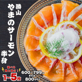 【ふるさと納税】福井県勝山市産 勝山 やまのサーモン 半身 冷凍 ｜サーモン 鮭 さけ サケ 福井県産 ふくい 魚 旬 新鮮 活〆 海鮮 魚介