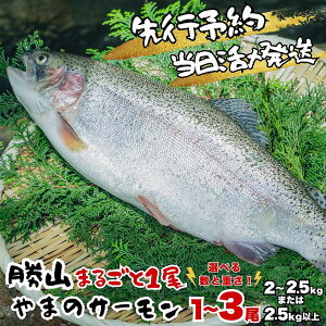 【ふるさと納税】★2026年7月中旬発送 先行予約★ 福井県勝山市産 勝山 やまのサーモン まるごと1尾 |サーモン 鮭 さけ サケ ふくいサーモン 福井県産 ふくい 魚 旬 新鮮 活〆 丸ごと 1匹 海