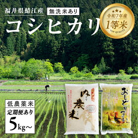 【ふるさと納税】【令和7年産 】福井県産 おしどり米 内農米コシヒカリ 5kg［M-00503］/内農米 10kg /定期便 3ヶ月/6ヶ月 5kg10kg / 無洗米 5kg/ こしひかり 白米 精米 ご飯 コメ ごはん ライス 産地直送 鯖江市