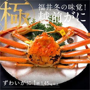 yӂ邳Ɣ[ŁzyʉiԉIzyʌzyYnz~̖oIzO  1ti1.45kgȏj [P-00912] / YCKj YCI 킢I 킢 g r  r ɂ 