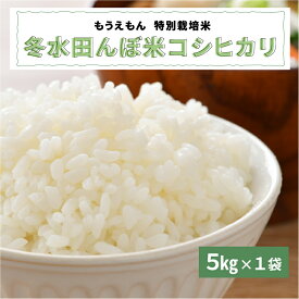 【ふるさと納税】冬水田んぼ米コシヒカリ（5kg × 1袋）真空パック [B-08217]